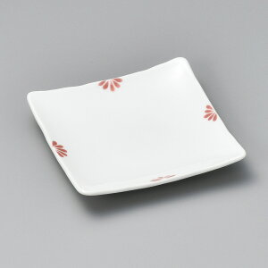 y5_Zbg̔zZ~bN ()pXM (12×12×1.8cm) UTSUWA[214-21-717] { aH KYOEIs s