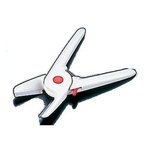 s[[ 䂸̂؂ɂI IVIIRۃ^Cv (1-0571-1301)
