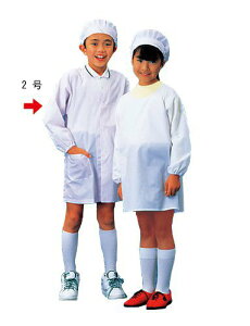 Gv wZp qp wH(zCg)SKV358@2(2E3)(1-1523-0502)