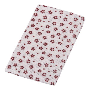 zeEٗpi ECpi 100̗D{fB^I a {fB^I i񂶁j (1-2496-0601)