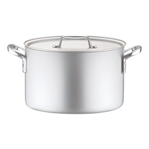 A~ vZNg (ڐt) 30cm Ɩp KXΐp   [^ HX H { ~[ (1-0030-0605)