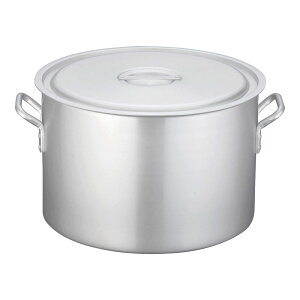 TKG A~jE ڐt(A}CgH) 48cm Ɩp KXΐp   ^ [^ HX H { ~[ (1-0029-0211)