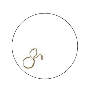 e[u}bgE`}bgER[X^[ R[X^[@Ђ傤@12814@(100)@(1-2043-1701)
