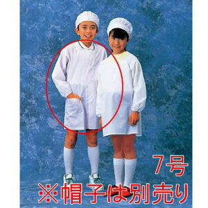 Gv wZp qp wH(zCg)SKV358@7(1-1523-0507)