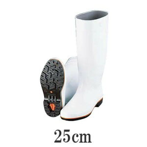 ~[Ep@ƖpCEu[c OiUN^XpCZ-01E@25cmiϖj(1-1476-0103)