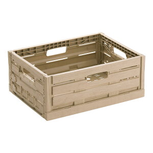 �ؖڒ��܂肽���݃R���e�i�[�@4316 �@�ؔ��̂悤�ȊO�ςłƂꂽ�Ċ������o �v���X�`�b�N�� �I���R�� �f�B�X�v���C(9-0175-0101)