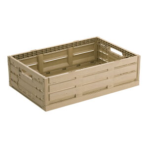 �ؖڒ��܂肽���݃R���e�i�[�@6416 �@�ؔ��̂悤�ȊO�ςłƂꂽ�Ċ������o �v���X�`�b�N�� �I���R�� �f�B�X�v���C�yISF_TKG�z(9-0175-0104)