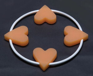 Lb`pX^h@IW yLP_TKGz@~ n[g 킢 Lb`piyDSF_TKGz(9-0110-1101)