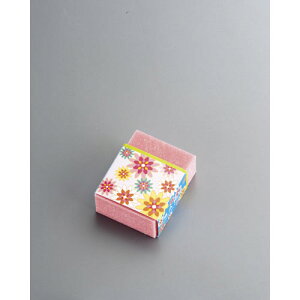 SAKU TrS@PA-2010 (9-0351-1101)