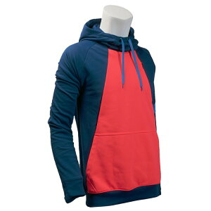 yZ[zNIKE iCL AJf~[ v p[J[ jZbNX CD1118-432