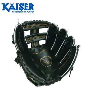 kaiser JCU[ (KW-313) 싅  E O[ug{ 10C` q LbY