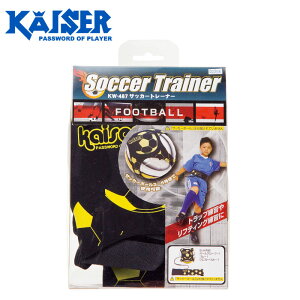 Kaiser JCU[ (KW-487) TbJ[g[i[ TbJ[pi q LbY Kp R߂Ă