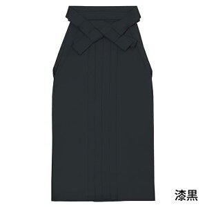 ( ̎q n )  w Ǝ Pi  ڑ K[Y ̎q w n   b      ubN bh lCr[ sN zCg s  U a a Ӊ