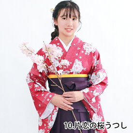 【豪華安心袴4点セット】 袴セット 華やかEF ジュニア (132cmから160cm) 卒業式 小学生 4点セット 着物 袴 セット 帯 長襦袢 卒服 二尺袖着物 はかま 振袖 和服 和装 ジュニア ガールズ 女の子 レディース 謝恩会 大学生 大学 中学生 (rg)