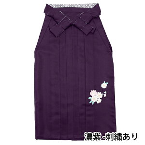 ( [X hJ/n WjA)  Pi Ǝ w ͂ ̎q w Z w  ڑ hJ        N[ sN  D s XJ[g^Cv U a