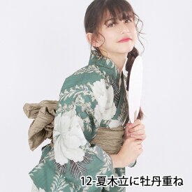 浴衣 子供 セット 女の子 【 浴衣3点セットレトロ B】 ガールズ 浴衣セット 兵児帯 下駄 子ども yukata ゆかた ユカタ セット ジュニア キッズ レトロ おしゃれ 可愛い 中学生 小学生 13colors 130 140 150 夏祭り 花火大会 (rg)