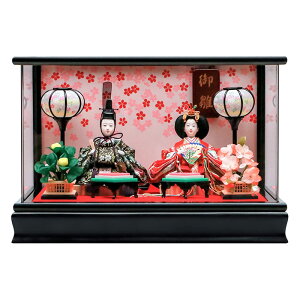 y݌Ɉ|Z[݌Ɍz ( l` H A) l` RpNg P[X  CeA e  킢  Vv l ЂȂ ЂȐl`  l` ڂڂ 