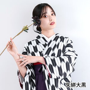 袴 卒業式 長襦袢 女性着物 | 通販・人気ランキング - 価格.com 
