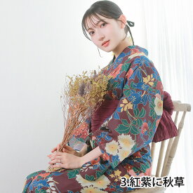 1人で"5分"簡単着付け 【 セパレート浴衣 2点 3点 セット 二部式浴衣 A 】 浴衣 レディース セパレート セット 二部式 浴衣セット 女性 yukata ゆかた ユカタ 帯 兵児帯 下駄 簡単 簡易 きなり くすみ 大人 綺麗 可愛い おしゃれ 10代 20代 30代 40代 フリーサイズ (rg)