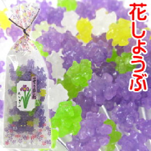 金平糖 ギフト スナック菓子の人気商品 通販 価格比較 価格 Com