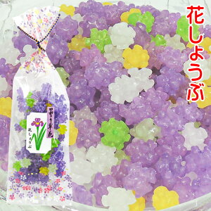 金平糖 ギフト スナック菓子の人気商品 通販 価格比較 価格 Com