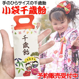 【予約販売】「 小袋 千歳飴 」(紅白2本入) 千歳飴 かわいい あしゃれ ミニ 手のひらサイズ 七五三 披露宴 おひねり キャンデー ミニサイズ 記念写真 写真館 神社 七五三まいり 記念品 寺院 業務用 袋 プチギフト 写真映え 粗品 お祝い 内祝い 景品 保育園 幼稚園 イベント