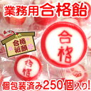 【 業務用 大袋入り 合格 飴 】 絶対合格 看護師 合格飴 試験 受験のお守り 受験グッズ 受験 合格 入試 合格祈願 お守り 合格 グッズ メガ盛り 業務用...