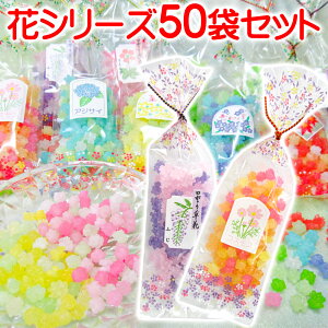    u ԃV[Y 50 Zbg v    Mtg v`Mtg hWF  I ސE    uC_ uC_Mtg v[g ̑i i
