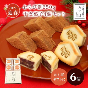 aَq ΕENMtg | {і250gExَq4Zbgy\tzy}tNَq2026zŷz XC[c v[g   s aَq ۑsgp