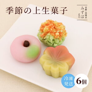 yʌzG߂̏㐶َq6yⓀzⓀiȊOƓs XC[c v[g   s aَq lߍ킹 ۑsgp