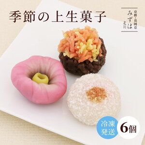 yʌzG߂̏㐶َq6yⓀzⓀiȊOƓs XC[c v[g   s aَq lߍ킹 ۑsgp