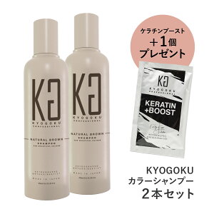  N[|ōő23%OFF y KYOGOKU J[Vv[  z JV  Vv[ eꔄ uE AbV ubN  200ml PA p Zx PA wAJ[ J