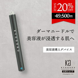 楽天市場】公式 スーパーSALE40%OFF 【 KYOGOKU ダーマニードル 