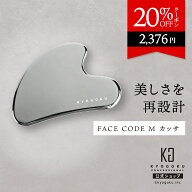 公式 20%OFFクーポン 【 KYOGOKU フェイスコードエム カッサ 】 プレート テラヘルツ フェイス用 顔 フェ…