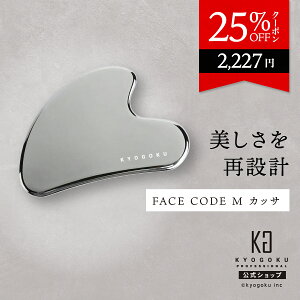  25%OFFN[| y KYOGOKU tFCXR[hG JbT z v[g ewc tFCXp  tFCXC si tgAbv ZtPA ނ݃PA RpNg ^ y 