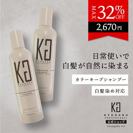 公式 クーポンで最大32%OFF 【 KYOGOKU カラーシャンプー 白髪染め 】 カラシャン 白髪 シャンプー 美容室専売 ブラウン アッシュ ブラック 黒 200ml 白髪ケア 女性用 高濃度 髪ケア 頭皮ケア ヘアカラー カラーリング 色もち 簡単 自然 保湿 髪質改善 日本製 KG 京極