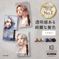公式 【 KYOGOKU IROME イロミー Silver Collection 】 ヘアカラー剤 80g ヘアカラー ブリーチオンカラー…