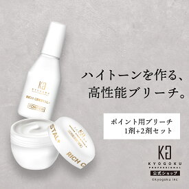 公式 【 KYOGOKU リッチクリスタル＋ クリームブリーチ スターターキット 】 ポイント用 ブリーチ セット 脱色 クリーム 脱色剤 部分用 少量 低刺激 敏感肌 手軽 安全 簡単 美容室専売品 医薬部外品 KG 京極