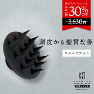 公式 スーパーSALE30%OFF 【 KYOGOKU ネイチャーブースター＋ スカルプブラシ 】 ヘアケアブラシ ブラシ …