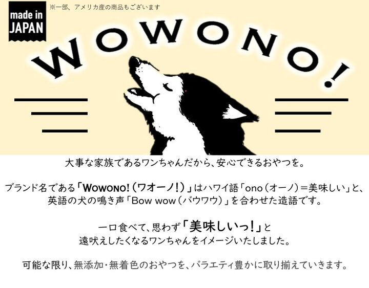 宅配 ささみのふりかけ 無添加 国産 45g 3袋 犬 猫 おやつ Shipsctc Org