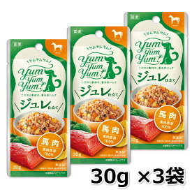 ヤムヤムヤム yum yum yum！ ジュレ仕立て 馬肉 30g ×3袋セット 犬 ペットフード トッピング