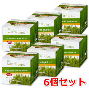 GreenLabo ƔLDȑ͔̍|Zbg ×6Zbg O[{ L  q PA ыʃPA Î|bg ȒP͔| Ή L   L ͔| Zbg