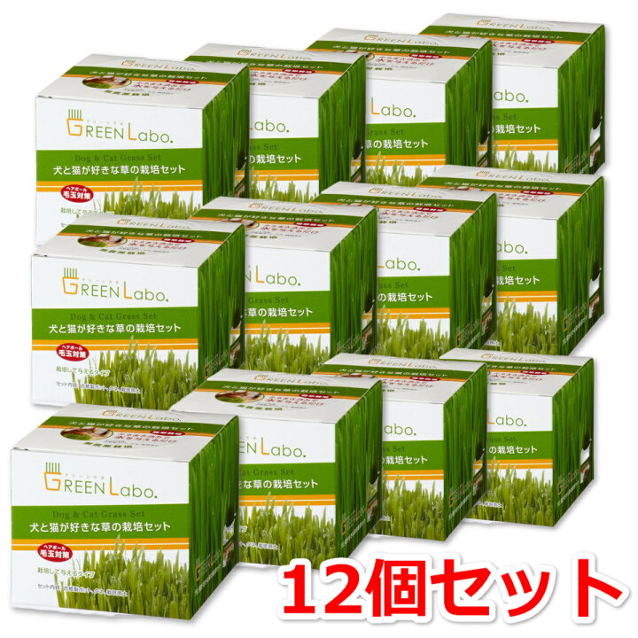 楽天市場】GreenLabo 犬と猫が好きな草の栽培セット ×12個セット 