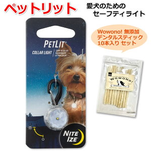 iCgACY ybgbg WGzCg LEDCg Wowono! Yf^XeBbN10{t Z[teBCg ybg ֗p y ^p h ȒPXCb` CR927drt