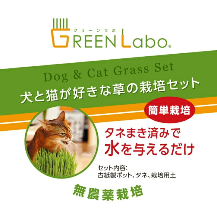 楽天市場】GreenLabo 犬と猫が好きな草の栽培セット ×12個セット 