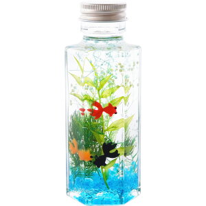 ytwzފ  蕨    v[g ~j w  n[oE S x  ͂Ȃ  {   d dp     S