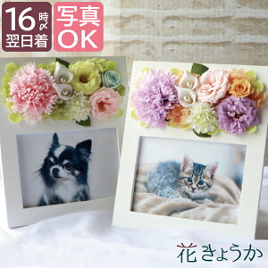 犬 お供え 花 造花 アーティフィシャルフラワーの人気商品 通販 価格比較 価格 Com 犬 お供え 花 造花 アーティフィシャルフラワーの人気商品 通販 価格比較 価格 Com