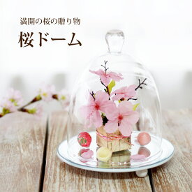 【日付指定可】 お彼岸 お供え プリザーブドフラワー 仏花 ミニ 『 桜 ドーム 』 ガラスドーム 仏壇 ケース入り 法要 命日 法事 お供え花 仏壇用 造花 お悔やみ 贈り物 枯れない花 ギフト 御仏前 お供え物 ペット ブリザード 小さい さくら サクラ 花 亡くなった