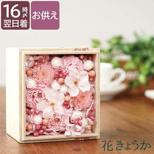 ytwzފ vU[uht[    w   ˔ x d d  ~j  P[X 蕨 ̉     @v @  O