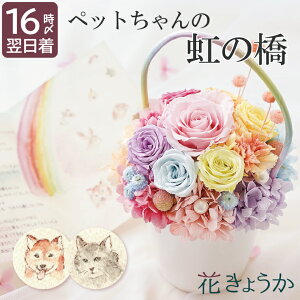 ytwzފ ybg     蕨  ybg{ wybg ̋ gDCN [Yx AWg  vU[uht[ dp   